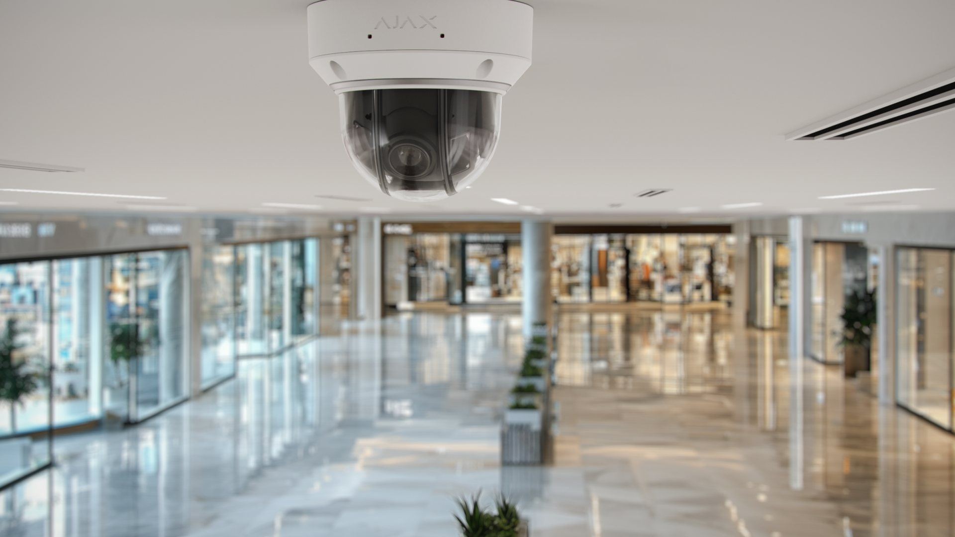 Business security