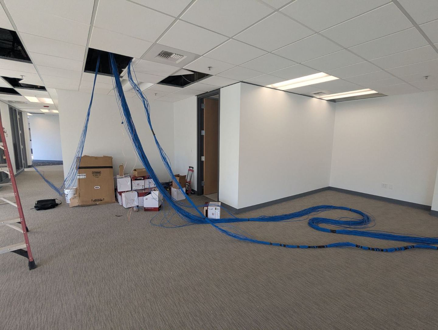 Bundles of blue network cable dropping from an open ceiling tile into an empty office suite, with a ladder and boxes on the carpet