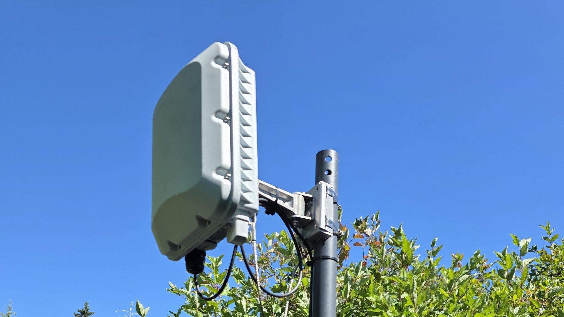 A pole-mounted Ruckus outdoor access point above a hedge in Sequim, WA, against a clear sky